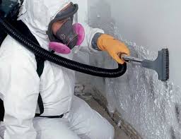 Best Mold Damage Restoration  in Bluewell, WV